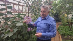 «Стихийные ярмарки не лучшее место для покупки посадочного материала» — директор ставропольского ботанического сада