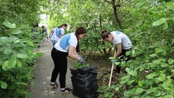 Экологическая акция «Палисадник Победы» прошла в Петровском округе