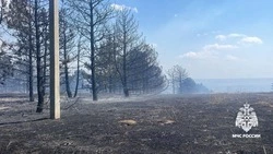 Прокуратура проводит проверку  из-за пожаров на горе Куцай в Петровском округе