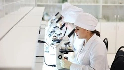 Господдержку для целевиков-аграриев увеличили в десять раз Ставрополье