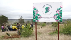 На горе в Петровском округе высадили тысячу деревьев