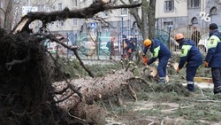 Глава Ставрополья поручил помочь Антрациту в ликвидации последствий урагана