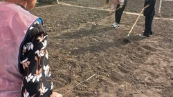 «Неделю добрых дел» устроили в Петровском округе