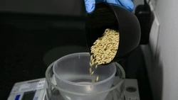 Сев яровых продолжают на Ставрополье