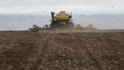 Озимые культуры заняли 1,6 млн га ставропольских полей