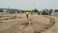 Субботник прошёл в Петровском округе 27 апреля