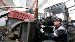 Средняя урожайность гороха на Ставрополье составила 19,9 ц/га 