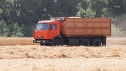 В аграрной отрасли Ставрополья сформируют кадровый резерв