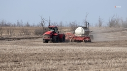 Весенний сев пройдёт на 1 млн га ставропольских полей
