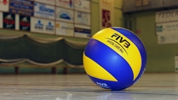 Патриотический турнир по волейболу прошёл в Петровском округе