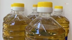 Экспорт растительных масел и жиров нарастили на Ставрополье на 9,5%