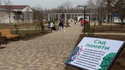 «Сад памяти» высадили в Светлограде