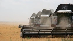 На полях Ставрополья собрали 2,9 млн тонн зерна