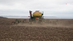 Свыше 2,1 миллиона гектаров посевных площадей Ставрополья займут озимые культуры