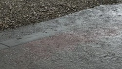 Воду из двора ветерана откачали в Светлограде после жалоб в соцсетях