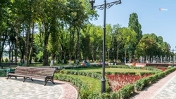 Аллея или парк: в Петровском округе выбирают территорию для благоустройства