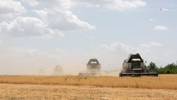 Валовое производство аграрной продукции нарастили на Ставрополье