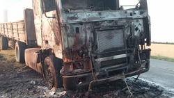 Пожарные потушили горящую фуру в Петровском округе