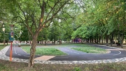 Жители Петровского округа выберут территории для благоустройства