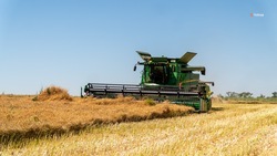 Аграрии Ставрополья собрали 4,9 млн тонн зерна