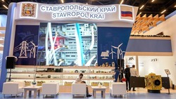 Делегации из 10 иностранных государств примут участие в выставке на Ставрополье