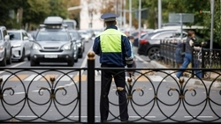 Рейды против пьяных водителей пройдут в Петровском округе в праздники