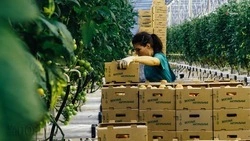 Объёмы товарооборота между Ставропольем и Азербайджаном выросли на 18%