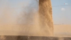 Ставропольские аграрии собрали 8,8 млн тонн зерна