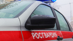 Росгвардейцы успели вовремя потушить пожар в ставропольском кафе