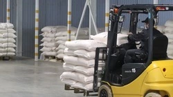 Около 2,7 тыс. тонн арахиса экспортировали в Армению со Ставрополья