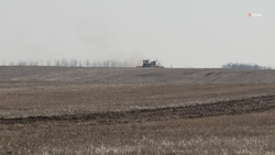 Ставрополье займётся выращиванием сои китайской селекции