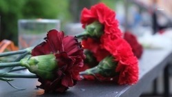 Голосование за проекты мемориалов в память об участниках СВО проводят на Ставрополье