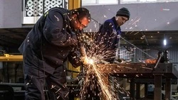 Парламентарии Ставрополья обсудили развитие новых направлений промпроизводства для импортозамещения