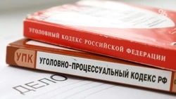 Житель Рогатой Балки получил восемь лет за покушение на убийство и изнасилование