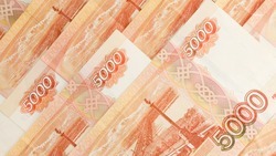 Мошенник оформил 100-тысячный кредит на жительницу Петровского округа