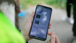 За объекты благоустройства края проголосовали 639 тыс. ставропольцев
