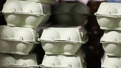 Производителям куриных яиц на Ставрополье выделят 35 млн руб. господдержки