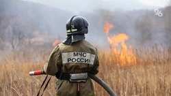 Семь пожаров потушили в Петровском округе за последние сутки
