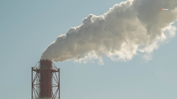 Меры по достижению углеродной нейтральности примут на Ставрополье