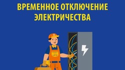 Из-за электросетевых работ в 7 населённых пунктах Петровского округа отключили свет
