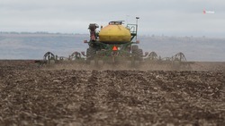 Вторую азотную подкормку проводят аграрии Ставрополья