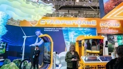 Ставрополье получило награду за подготовку экспозиции к выставке «Россия»