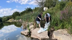 Берег Кисличанского пруда очистили от мусора в Светлограде