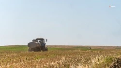 Ставропольским аграриям направили свыше 4,5 млрд рублей господдержки