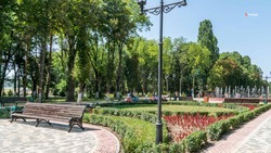 Аллея или парк: в Петровском округе выбирают территорию для благоустройства