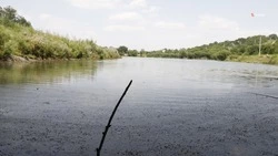 Реку Терновку очистили в Петровском округе