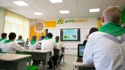 Агротехнический класс появится в школе Петровского округа в 2025 году