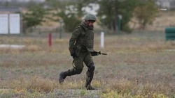 Законопроект о поддержке участников спецоперации разработали на Ставрополье