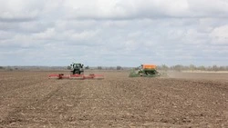 Аграрии Ставрополья приступили к севу озимого рапса