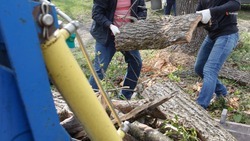 Свыше 2,8 тыс. экологических мероприятий провели на Ставрополье